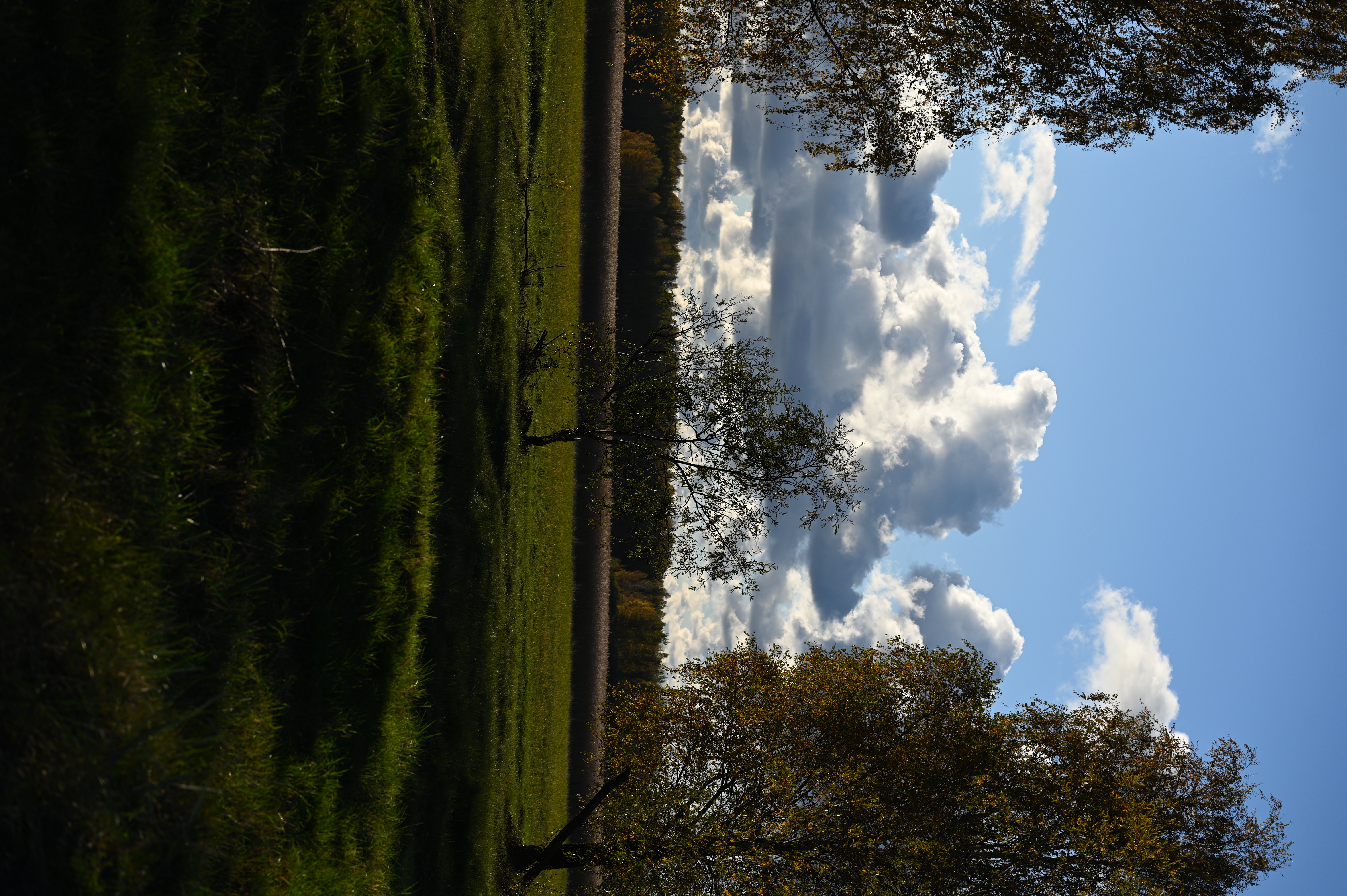 2025/10/18 - walk/DSC_0144.JPG